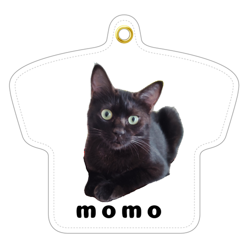 黒ねこももちゃん レザーキーホルダー（Tシャツ型）