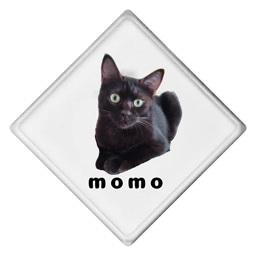 黒ねこももちゃん ライティングバッジ　ひし形