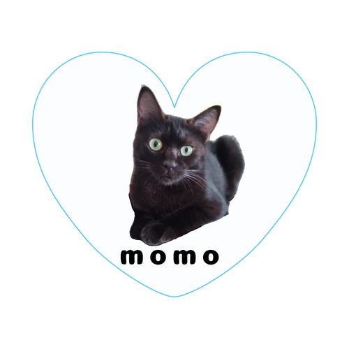 黒ねこももちゃん アクリルバッジハート(58x50mm)