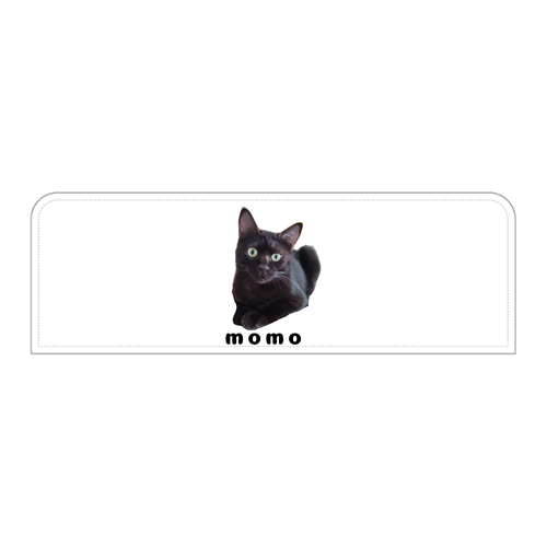 黒ねこももちゃん LSG08(ペンケース)