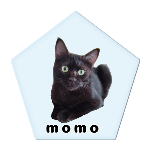 黒ねこももちゃん アクリルコースター 五角形