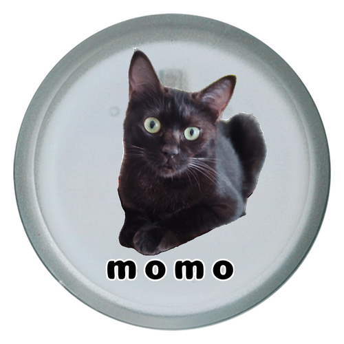 黒ねこももちゃん ライティングバッジ　丸形