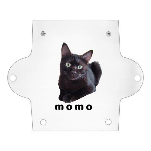 黒ねこももちゃん PVC マルチケース