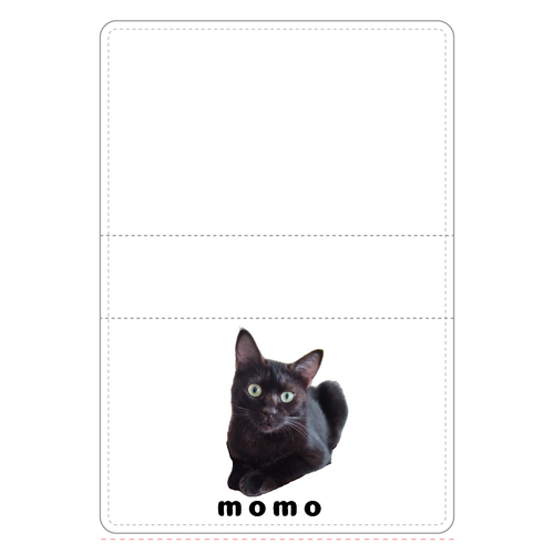 黒ねこももちゃん 名刺ケース