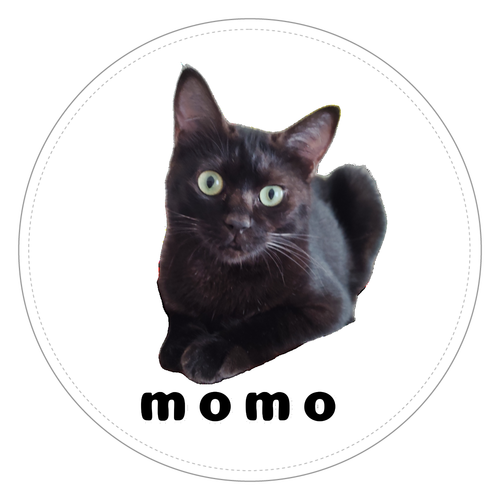 黒ねこももちゃん コインケース