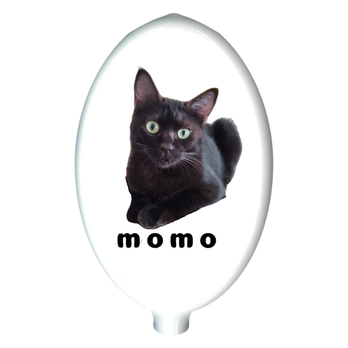 黒ねこももちゃん ラバーコインケース