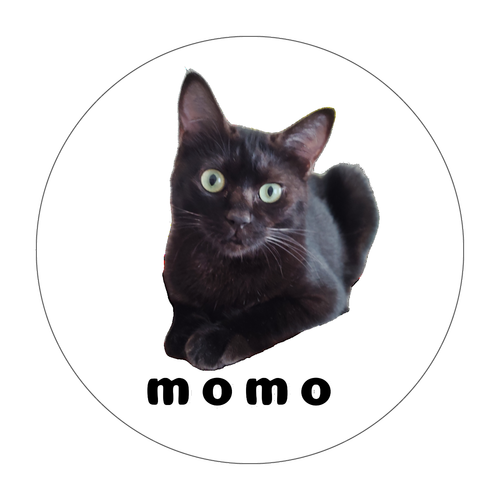 黒ねこももちゃん ソフトコースター ラウンド