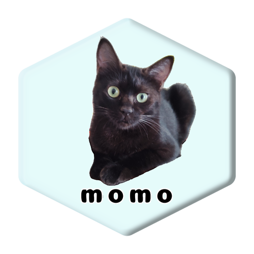 黒ねこももちゃん アクリルコースター 六角形