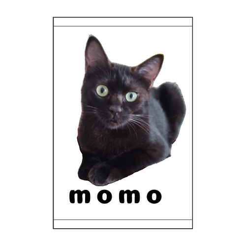 黒ねこももちゃん 硬質ケース