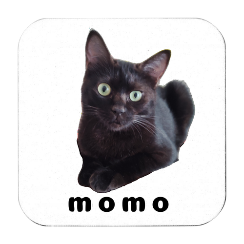 黒ねこももちゃん ソフトコースター スクエア