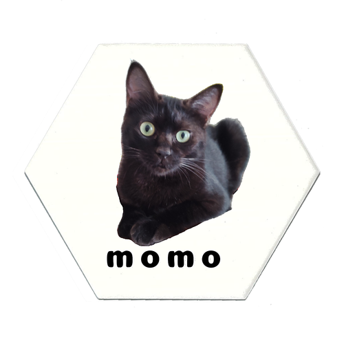 黒ねこももちゃん 白雲石入り吸水コースター　六角