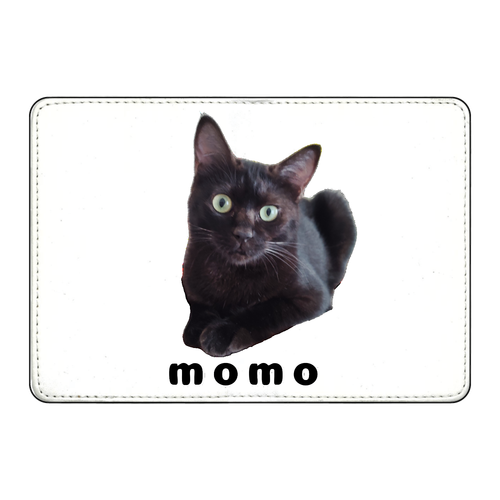 黒ねこももちゃん カード収納ケース