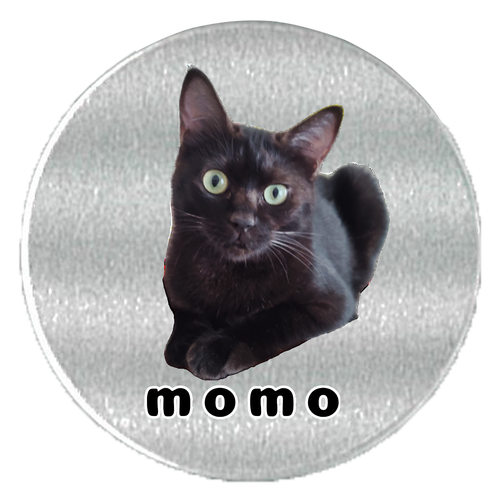 黒ねこももちゃん アルミスクリュー缶(S)