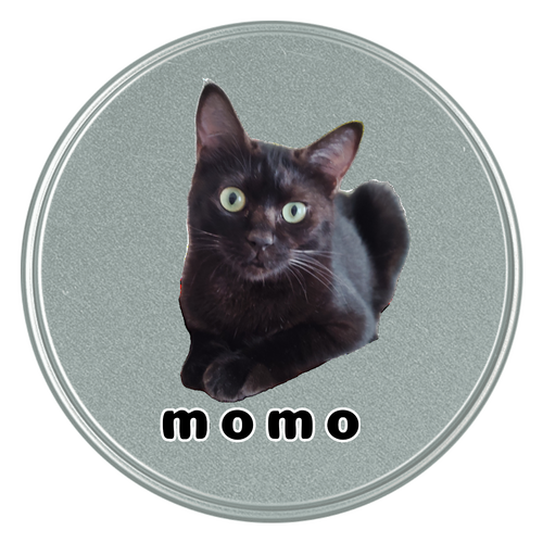 黒ねこももちゃん コルン缶