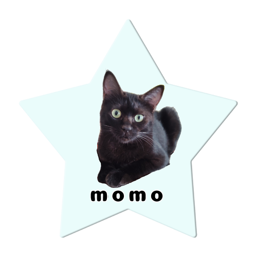 黒ねこももちゃん アクリルコースター 星形