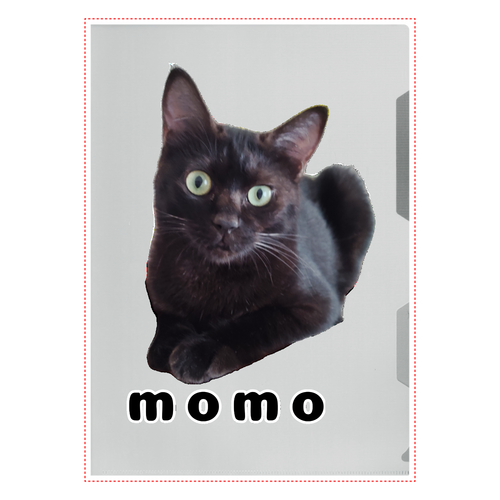 黒ねこももちゃん A4クリアファイル