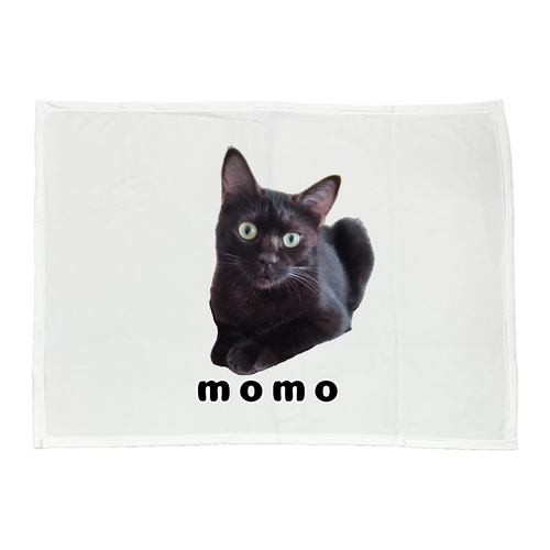 黒ねこももちゃん 全面ピクチャースタイルブランケット（Ｍ）