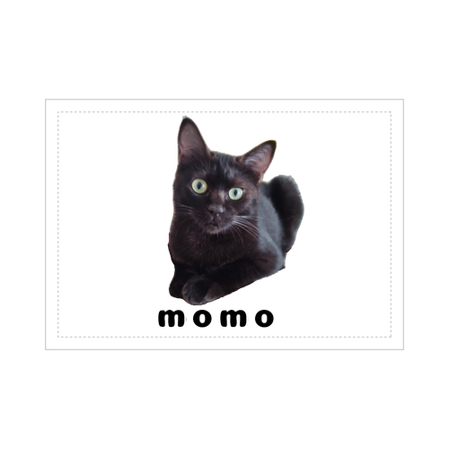 黒ねこももちゃん ブランケット - 700 x 1000 (mm) - ポリエステル