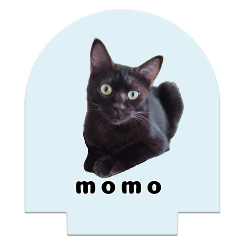 黒ねこももちゃん ライティングスタンドミニ(釣鐘)