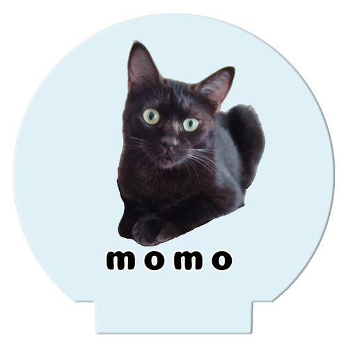 黒ねこももちゃん ライティングスタンドミニ(丸)