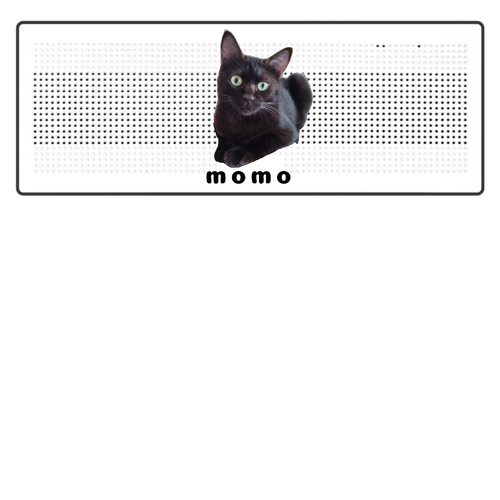 黒ねこももちゃん Bluetoothスピーカー 表のみプリント