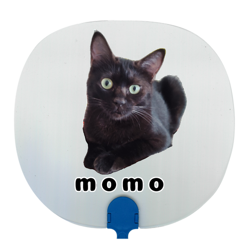 黒ねこももちゃん 透明うちわ
