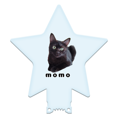 黒ねこももちゃん 星型アクリルペンライト