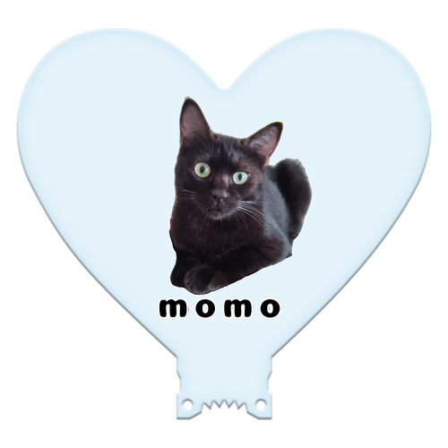 黒ねこももちゃん ハート型アクリルペンライト