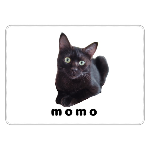 黒ねこももちゃん タブレットケース汎用Mサイズ