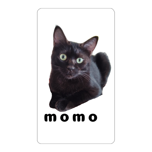 黒ねこももちゃん インジケータ無バッテリー4000mAh