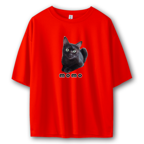 黒ねこももちゃん ストリートＴシャツ