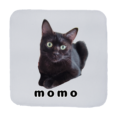 黒ねこももちゃん 全面プリントハンカチタオル 