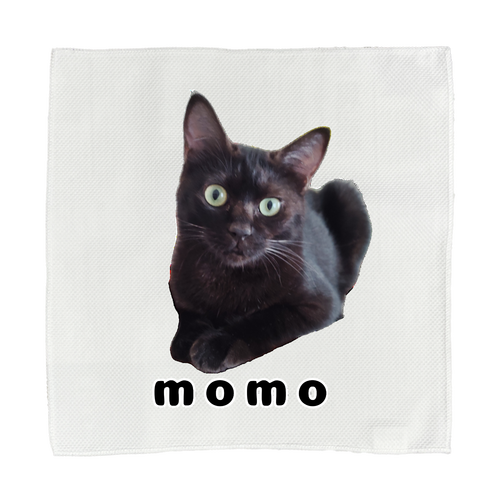 黒ねこももちゃん 接触冷感 高発色 全面印刷 クールウォッシュタオル