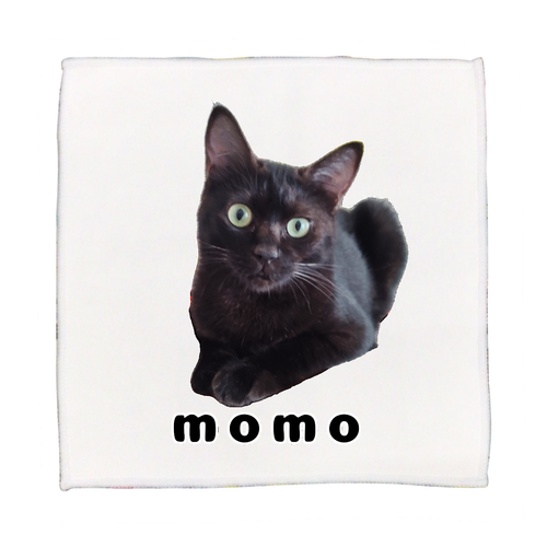 黒ねこももちゃん ピクチャースタイル ハンドタオル