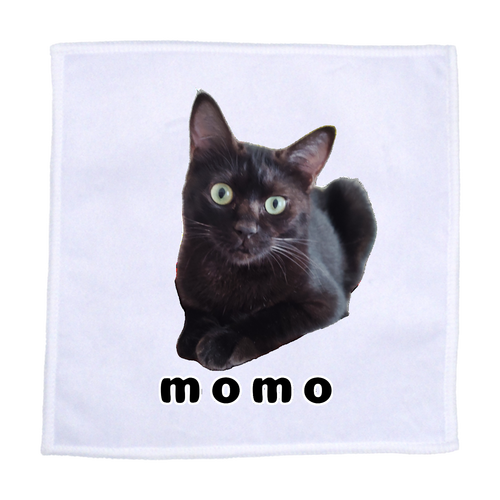 黒ねこももちゃん ラビットタッチ 20cmミニハンカチ