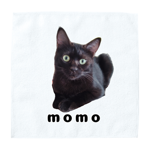 黒ねこももちゃん ソフトタッチミニタオル
