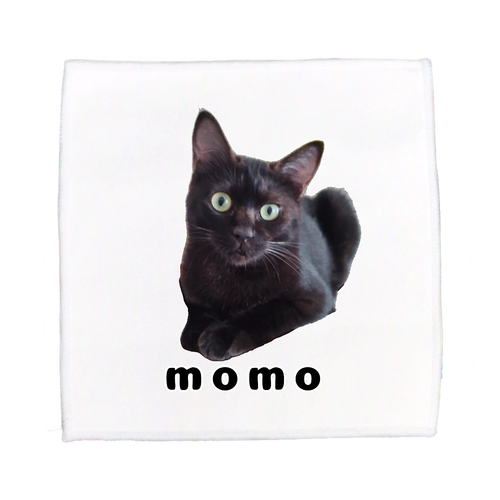 黒ねこももちゃん ピクチャースタイル ミニタオル