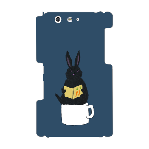 黒うさぎの読書 ARROWS SV(F-03H）