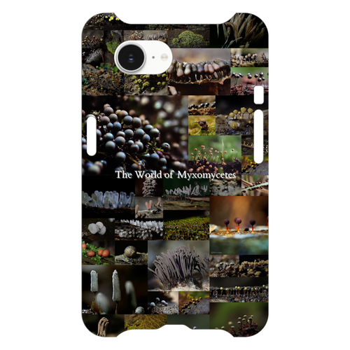 The World of Myxomycetes / iPhone16シリーズ iPhone16e