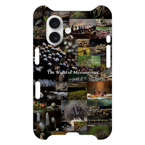 The World of Myxomycetes / iPhone16シリーズ iPhone16