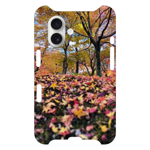 紅葉の絨毯 iPhone16