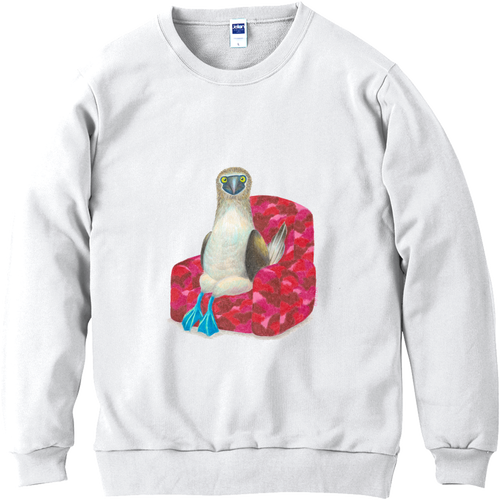 【moco.】アオアシカツオドリの撮影 軽量スウェット