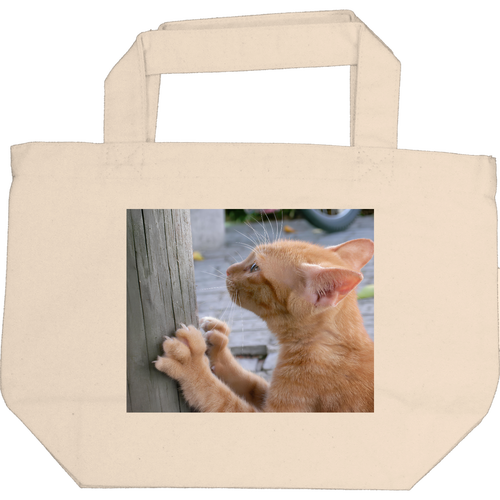 「爪を研ぐ猫 キャンバストート S