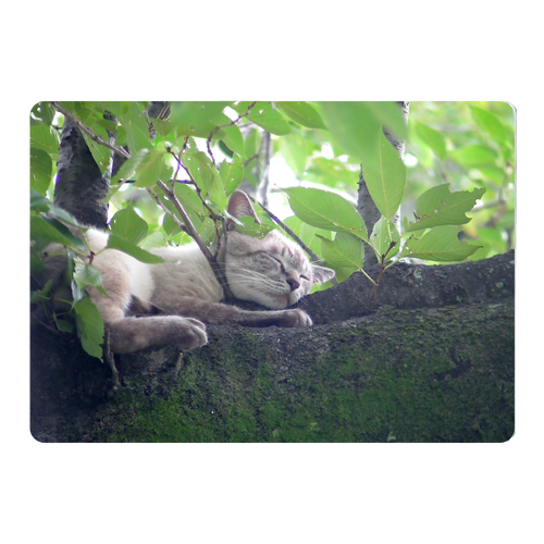 木の上で眠る猫 A5サイズ ジグソーパズル A5サイズ