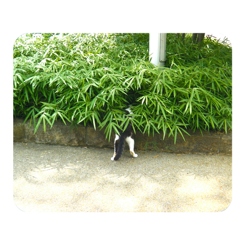 隠れようとする猫 マウスパッド ソフトマウスパッド スクエア ラージ