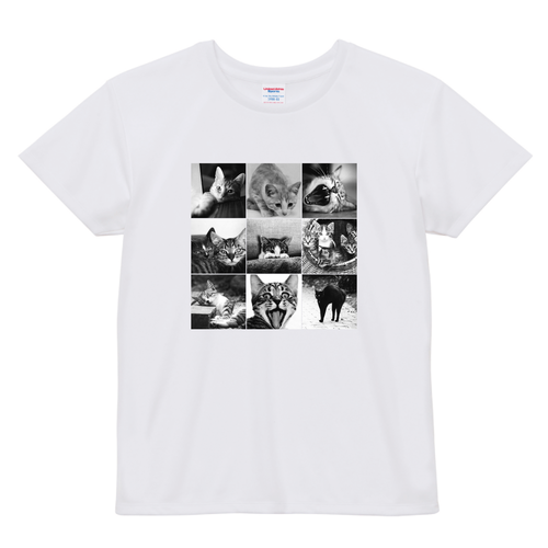 cat day ドライアスレチック Ｔシャツ〈ウィメンズ〉