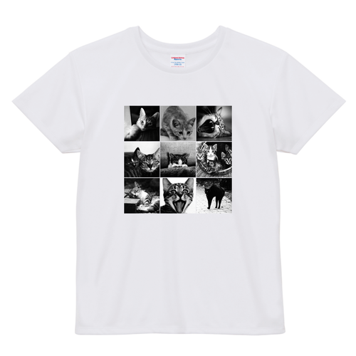 cat day ドライアスレチック Ｔシャツ〈ウィメンズ〉