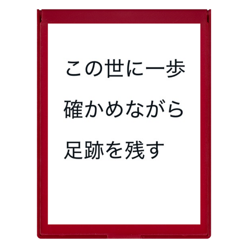 この世では フロストスクエアミラー（Ｌ）