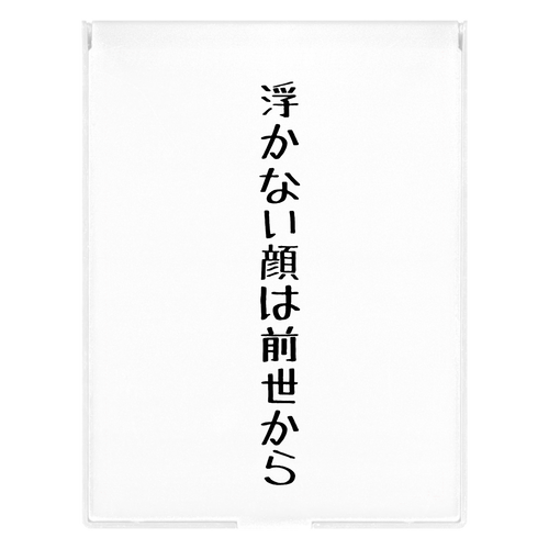 浮かない顔は フロストスクエアミラー（Ｌ）