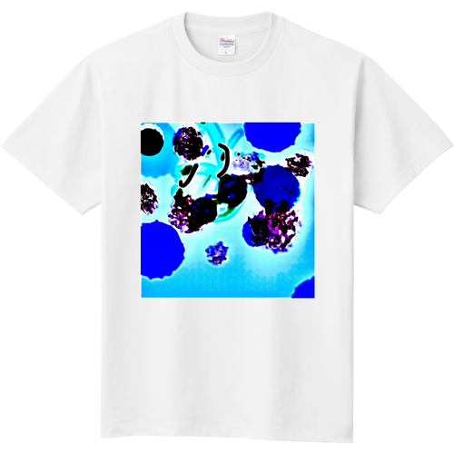 梅雨 定番Ｔシャツ